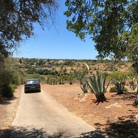 Monte Alto